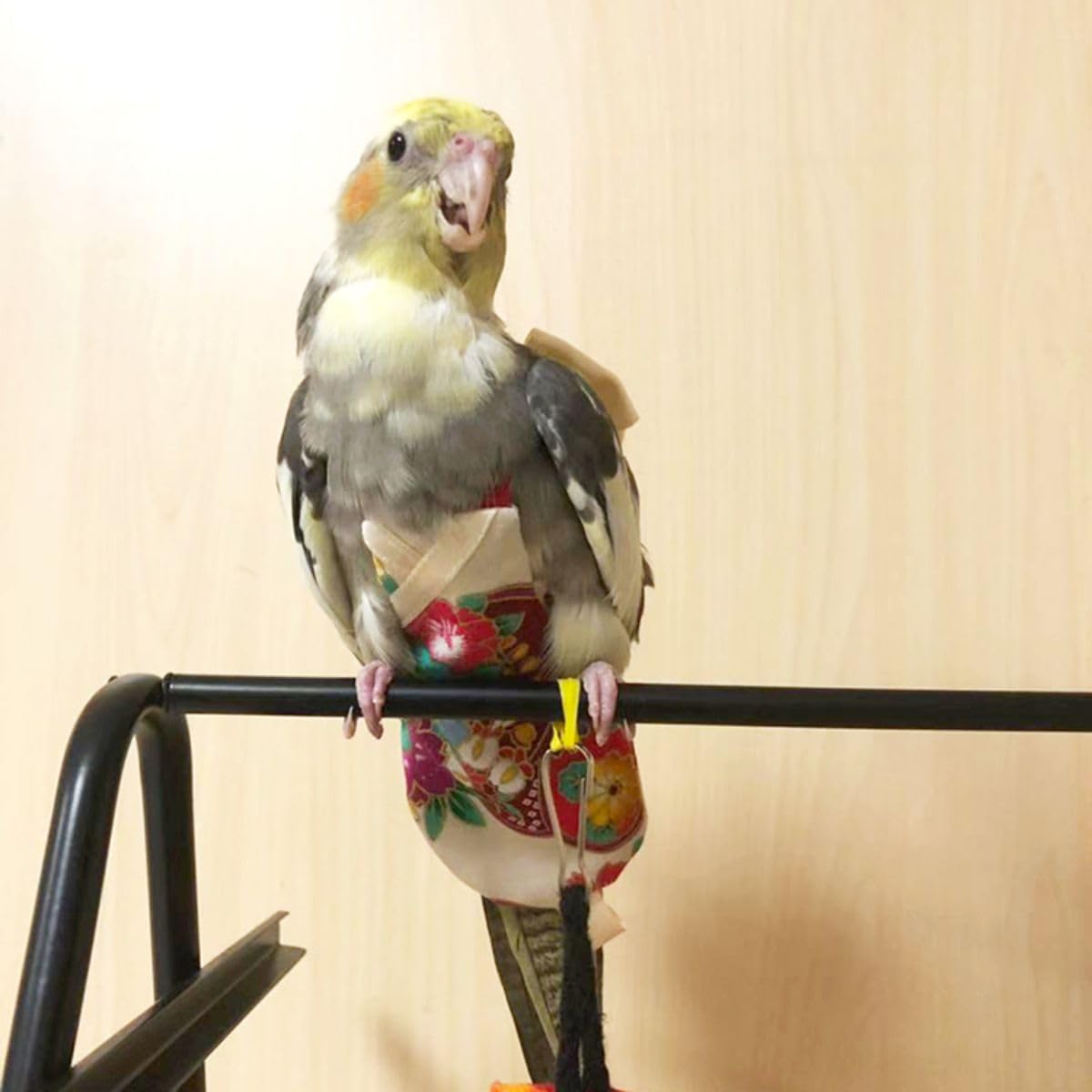 Bird Flight Suits with Diapers for Parrots - Quaker Parakeets & Cockatiels - Parrot Clothes in Almond A & Macaw Sizes | Perfect for Training, Travel & Indoor Play