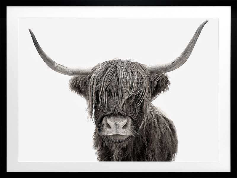 Premium dhonn Poster - High-Quality Wall Art for Home & Office Decor - Perfect for Living Room, Bedroom, and Workspace
