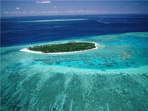 Great Barrier Reef Coral Ocean Australia Wall Art - High Glossy Poster Photo Print for Home & Office Decor | Perfect for Living Room, Bedroom, or Classroom