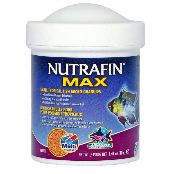 Nutrafin Max Small Tropical Fish Micro Granules - Premium Fish Food for Guppies, Tetras & Bettas | Balanced Nutrition for Healthy Fish | Ideal for Home Aquariums & Fish Tanks