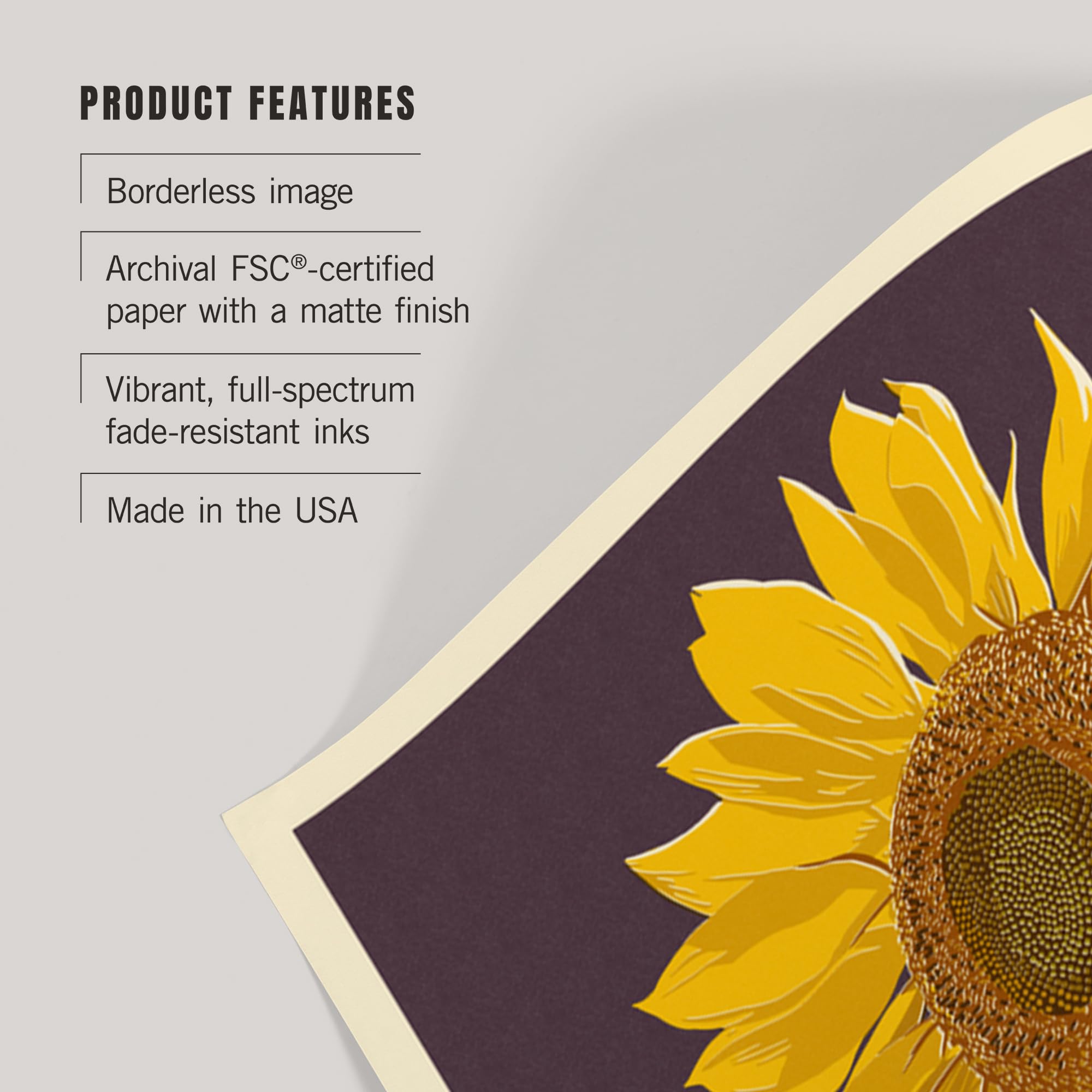 Lantern Press 16x24 Inch Sunflower Giclee Art Print - Premium Letterpress Wall Decor for Living Room, Bedroom & Office