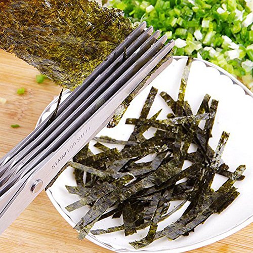 5-Layer Stainless Steel Kitchen Scissors - Herb & Spice Cutting Scissors for Shredding, Chopping, and Mincing - Perfect for Cooking, Salad Prep, and Garnishing
