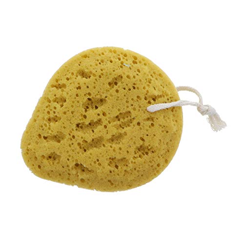 1 Sponge