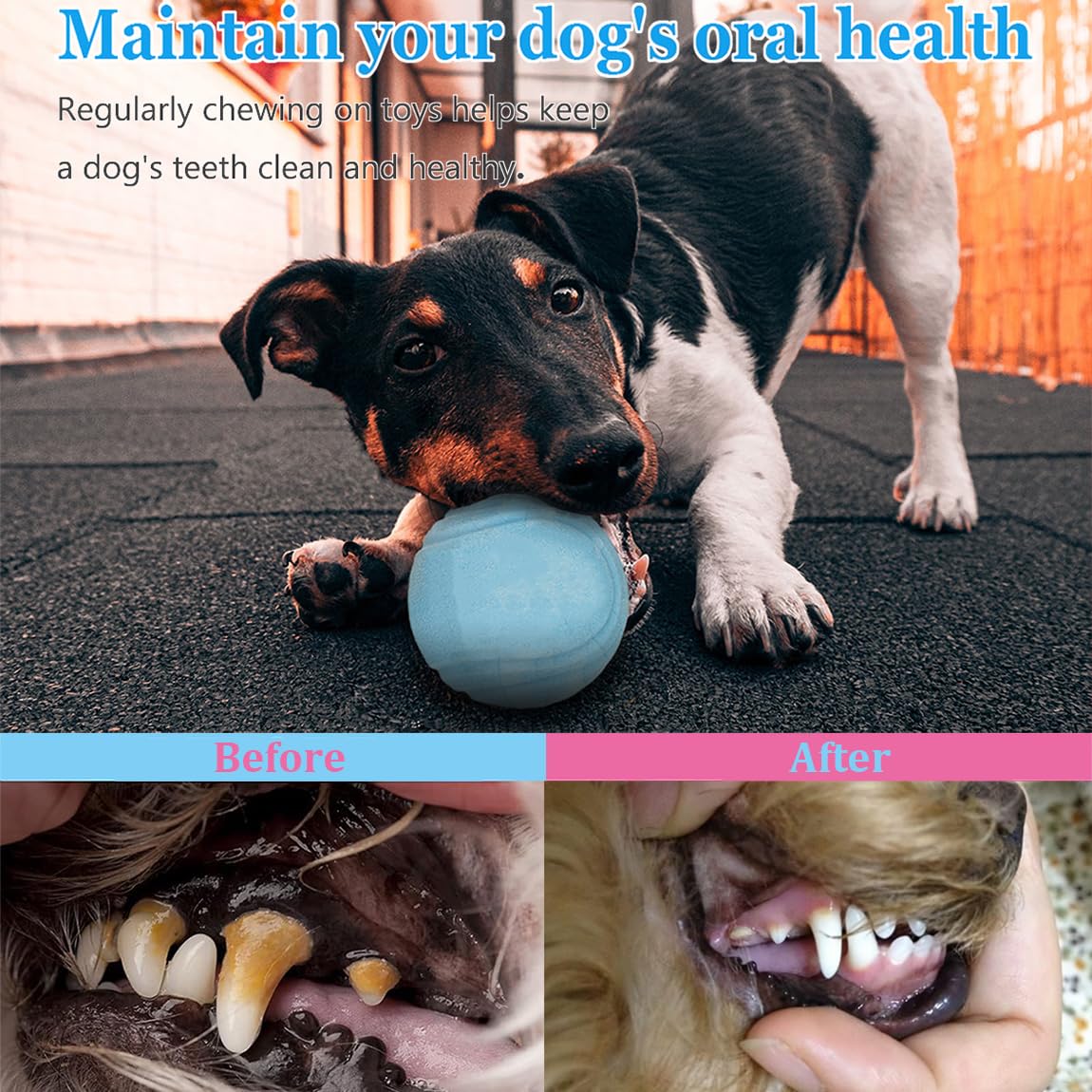 20 Pack Puppy Toys Set - Durable Chew Toys for Teething Puppies, Interactive Dog Toys for Small Breeds - Tough Rope & Soft Rubber Chew Toys Bundle for Puppy Training | Great for Indoor Play, Outdoor Fetch & Dental Health