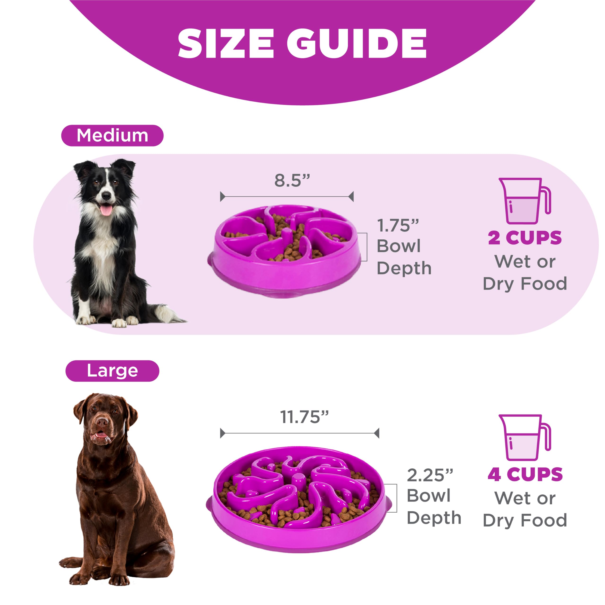 Outward Hound Fun Feeder Slo Bowl - Slow Feeder Dog Bowl for Medium & Small Dogs - Purple - Prevent Fast Eating & Bloat - Perfect for Mealtime & Training