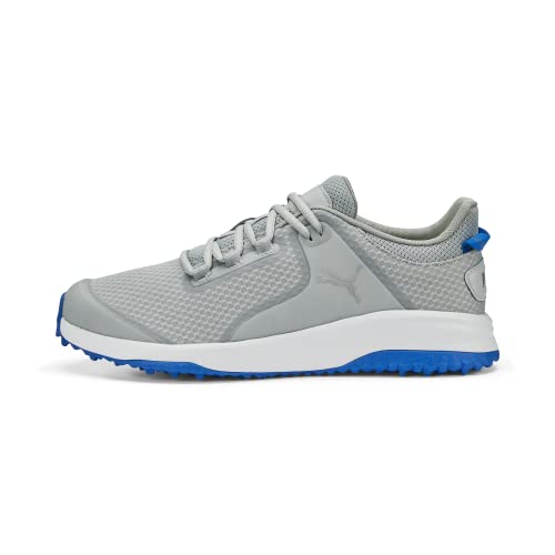 Flat Light Gray/Puma Silver/Puma Team Royal