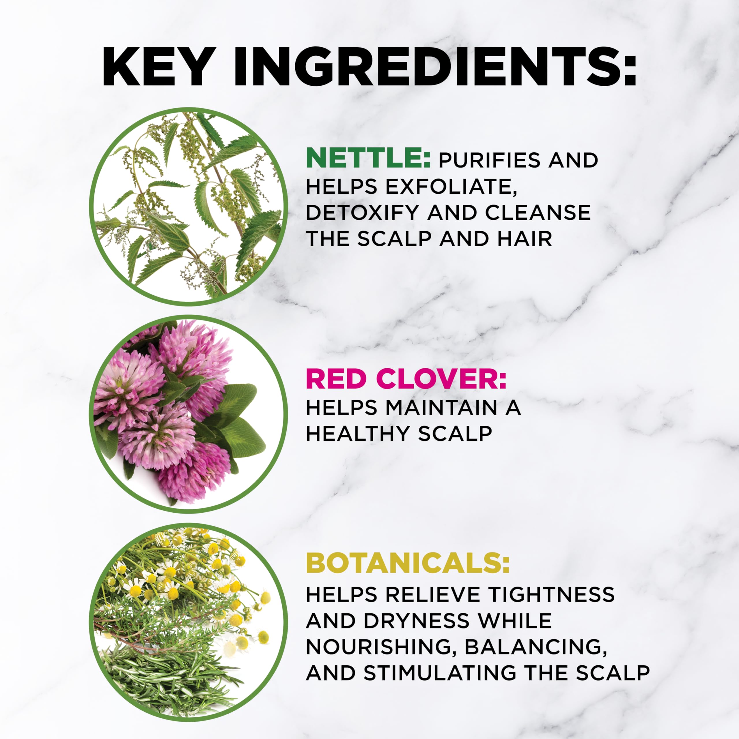 CHI Power Plus Step Exfoliate Shampoo 32oz, Nourish Conditioner 32oz & Revitalize Vitamin Hair Scalp Treatment 3.5oz - 3-Step Professional Hair Care System for Damaged Hair Repair - Salon Quality Shampoo & Conditioner Set for Dry, Frizzy Hair - Perfect for Home & Professional Use