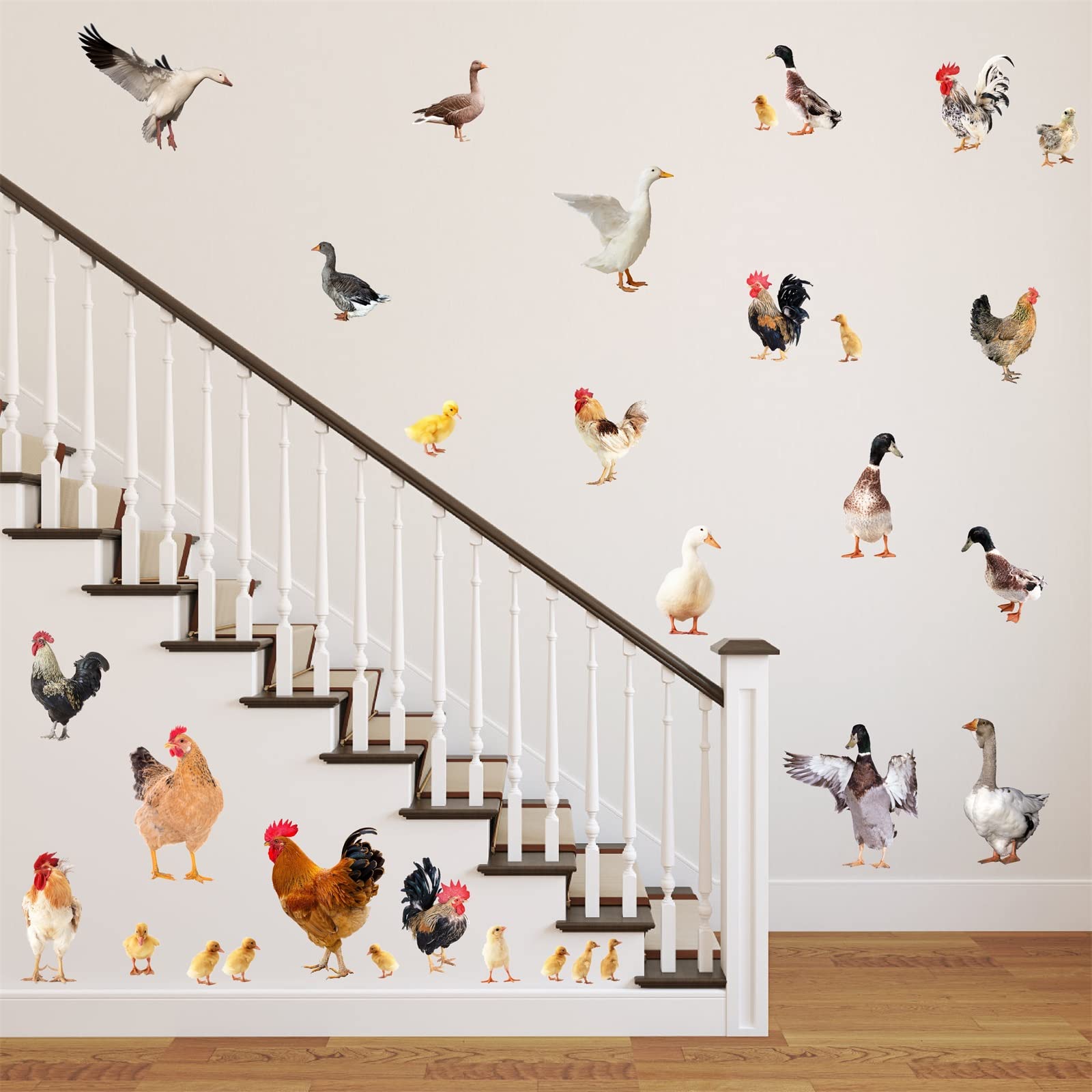 Funny Peel and Stick Chicken Rooster Wall Decals - Farm Animal Kitchen Wall Stickers for Cabinets, Doors & Windows - Cute Farmhouse Decor for Home, Nursery & Office