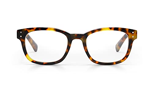 Tortoise Front and Temples