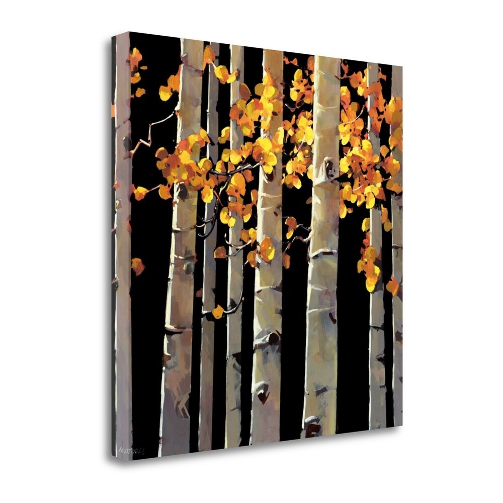 Aspen Grove By Michael Otoole - Premium Fine Art Giclee Print on Gallery Wrap Canvas, Ready to Hang Wall Decor - Perfect for Living Room, Bedroom & Office