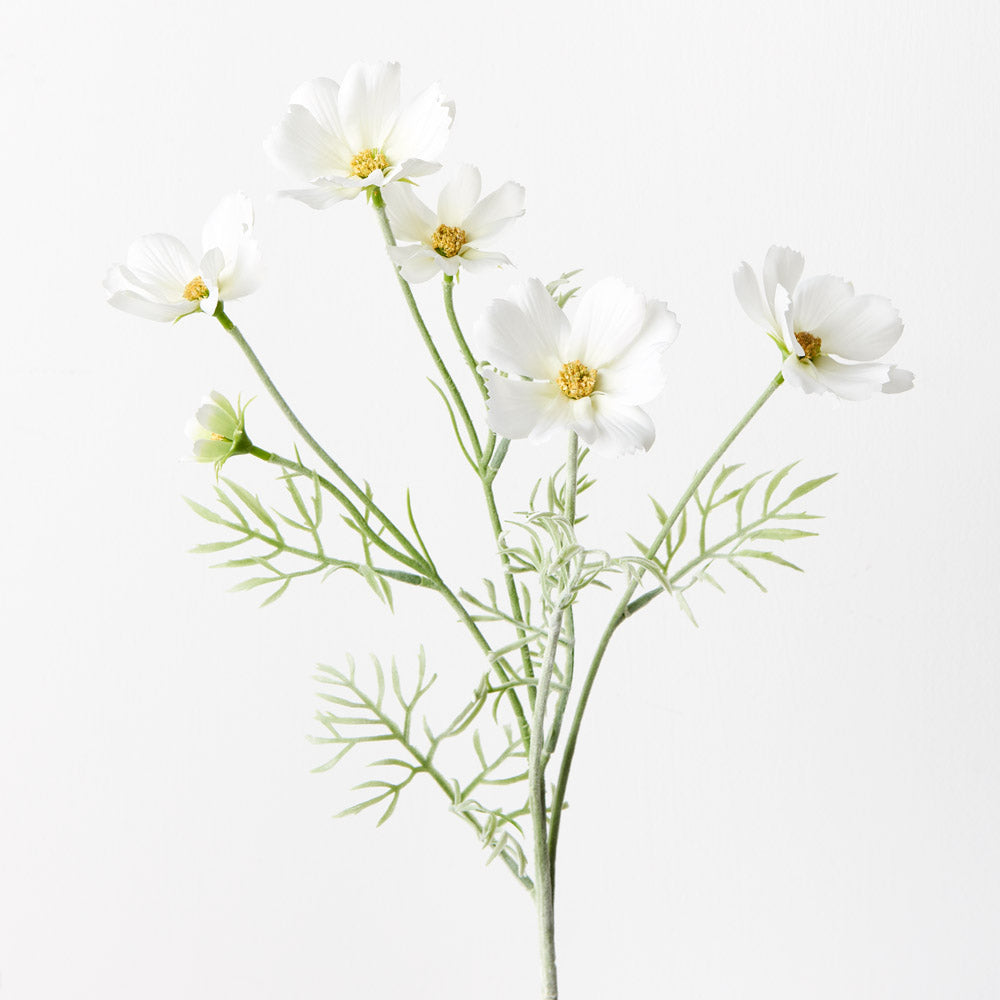 Cosmos White - Premium White Paint for Home & Interior Decor | Perfect for Walls, Furniture & DIY Projects