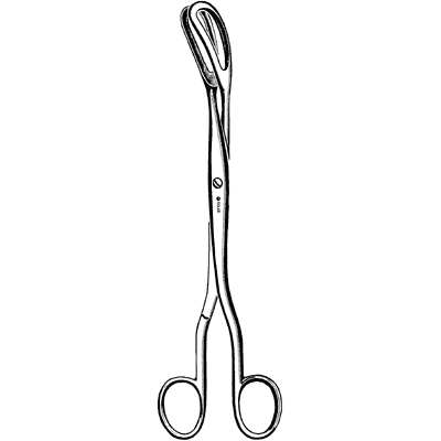 Corey Ovum Forceps 9.5