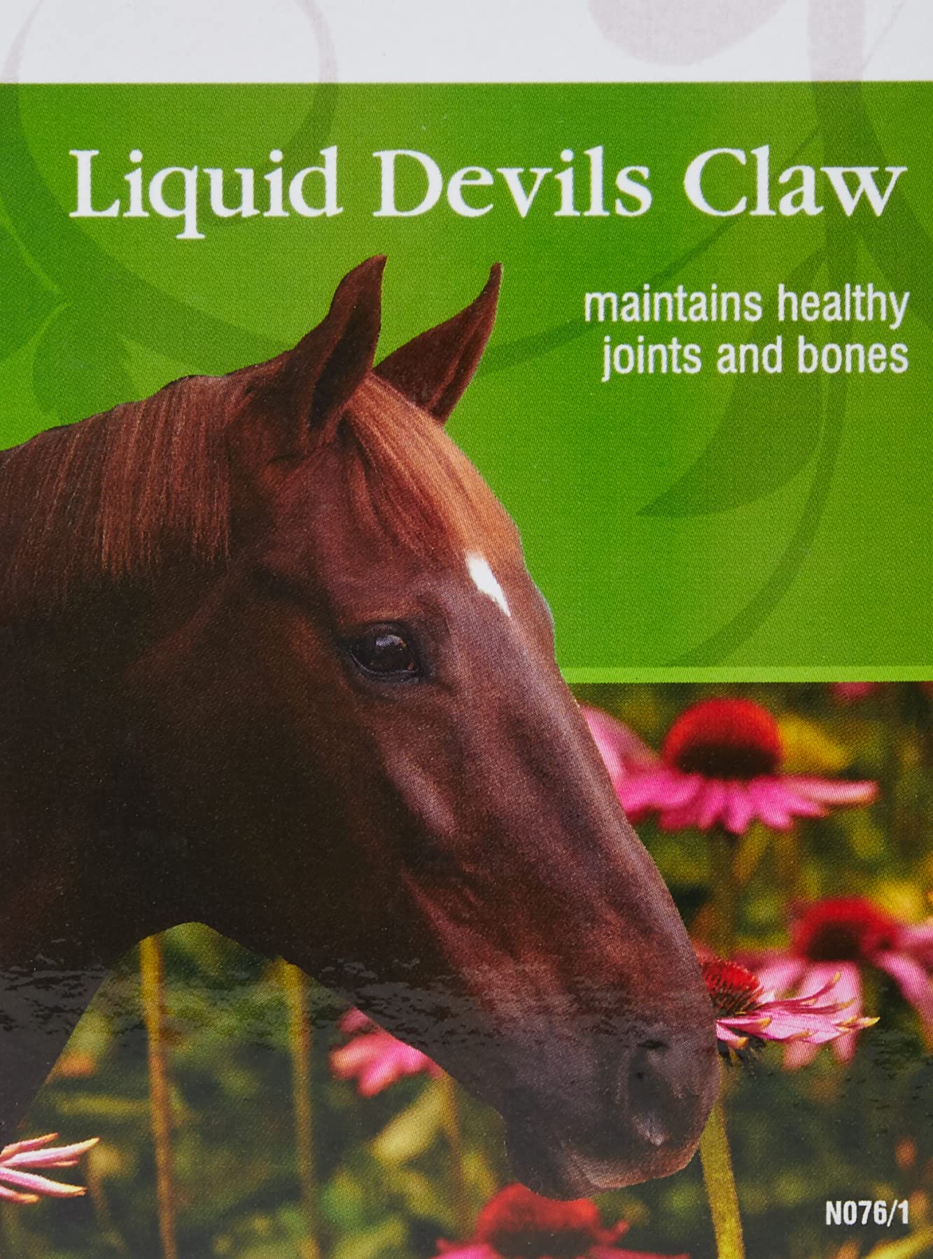 Liquid Devil's Claw Extract - 5 Liters | Natural Herbal Supplement for Joint Pain Relief & Inflammation | Perfect for Arthritis, Back Pain & Muscle Recovery