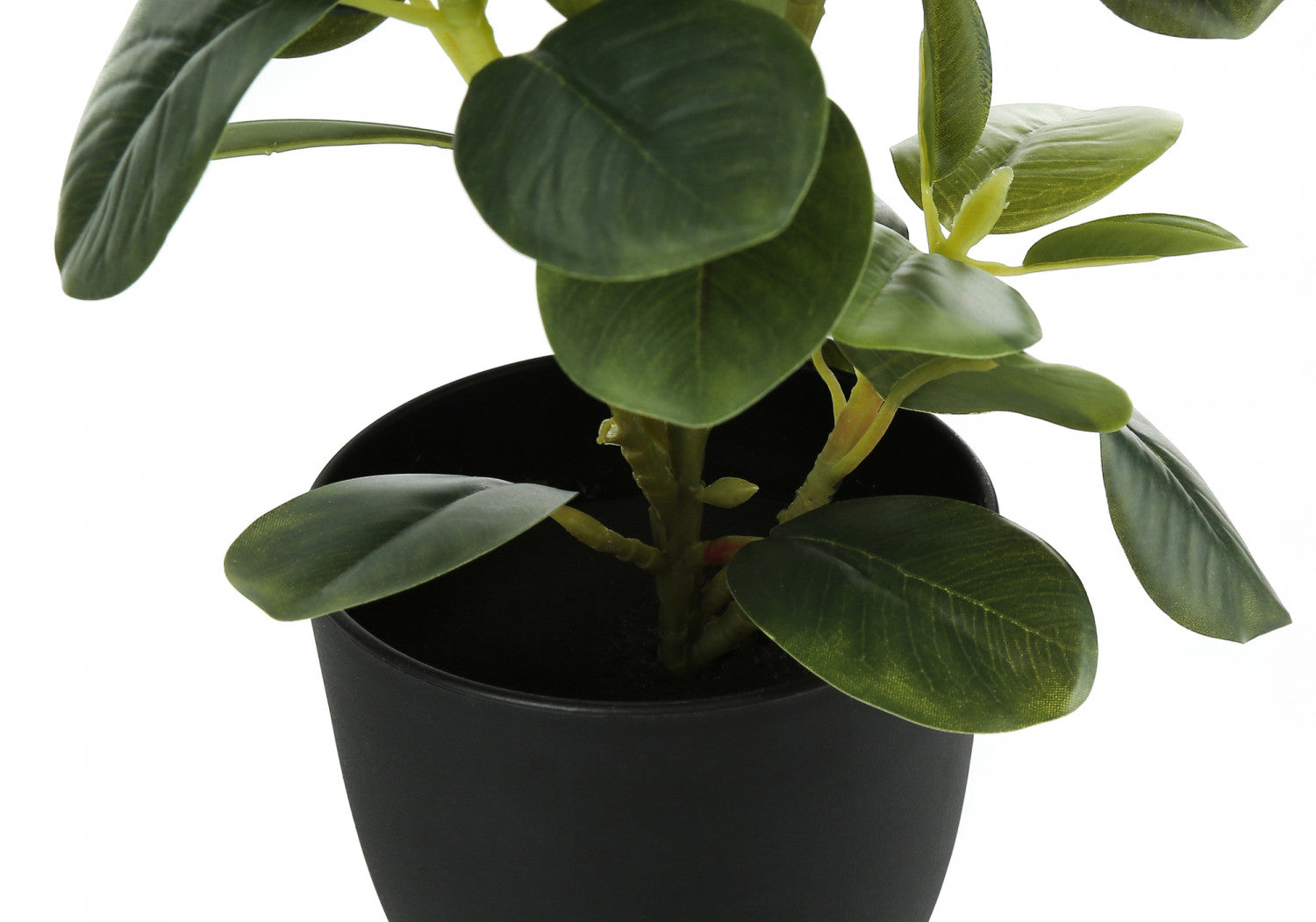 14 Inch Ficus Elastica Rubber Plant with 4 Inch Black Pot - Set of 2 Indoor House Plants for Home Office Decor, Living Room, Bedroom