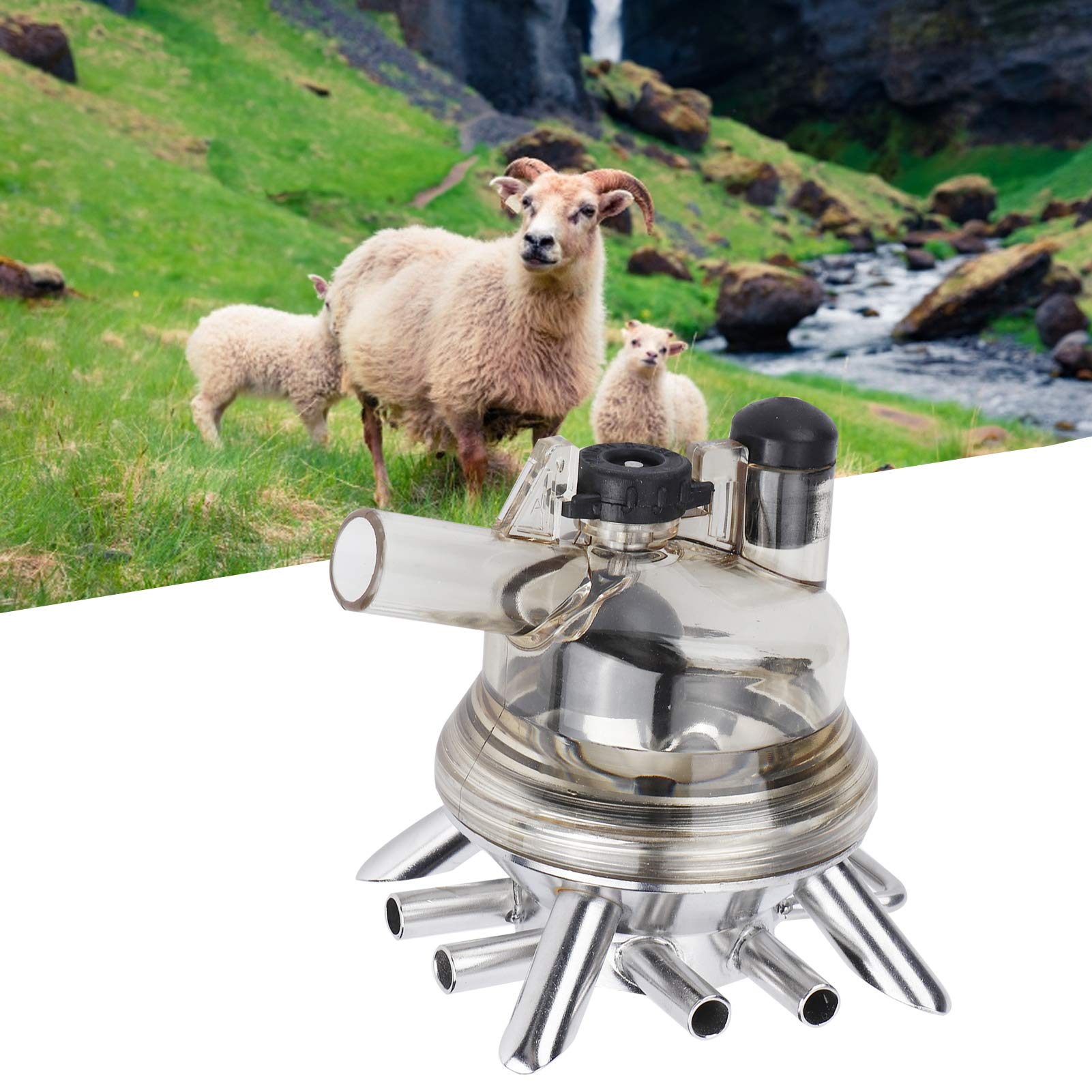 Sheep Milking Machine & Milk Collector - 150ml Farm Milking Claw with Cluster Cups for Dairy Cows, Goats, and Sheep | Essential Poultry Breeding Equipment for Small Farms & Homesteads | Perfect for Daily Milking, Veterinary Care, and Livestock Management