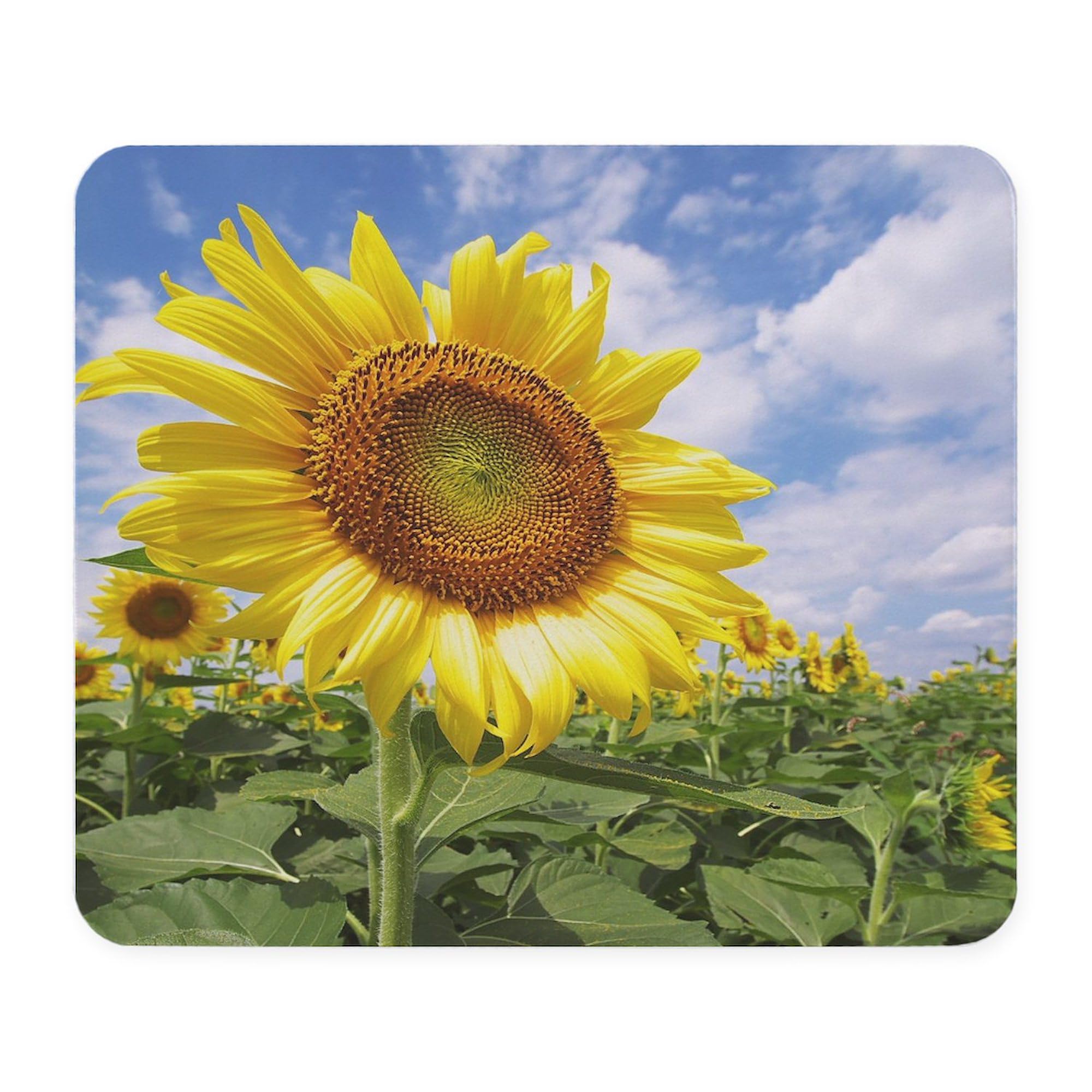Sunflower Garden Non-Slip Rubber Mouse Pad - Cute Floral Computer Mousepad for Gaming & Office Use - Perfect for PC, Laptop & Workstation Desks