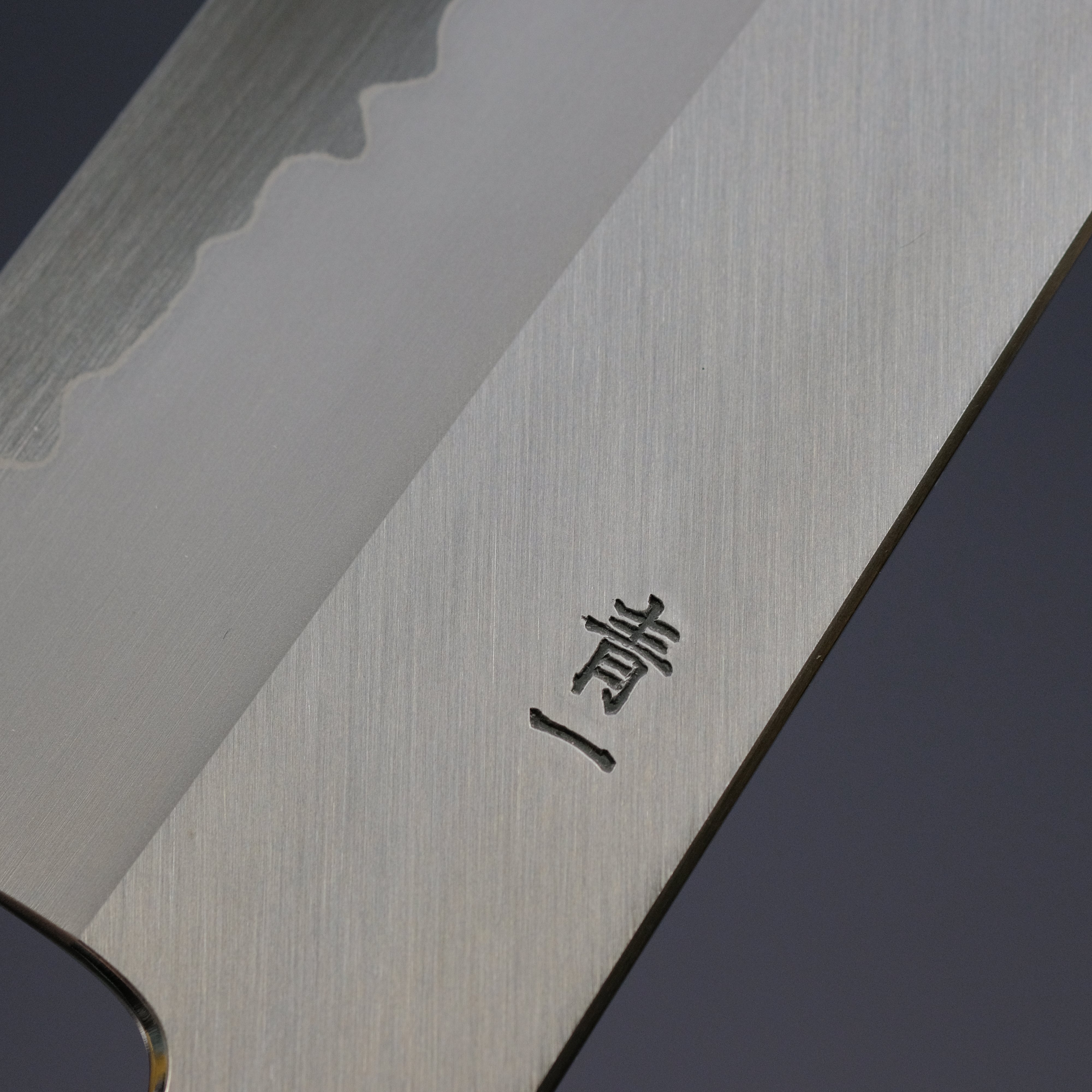 Hitohira Tanaka Kyuzo Blue #1 Stainless Clad Gyuto 240mm Japanese Chef Knife with Taihei Ebony Handle - Perfect for Sushi, Meat Slicing & Professional Kitchen Use