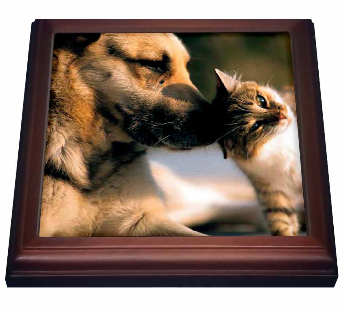 3D Rose Ceramic Tile Trivet for Cats and Dogs Lovers - 8x8 Inch Brown Kitchen Hot Pad - Perfect for Hot Dishes, Pots, and Table Decor