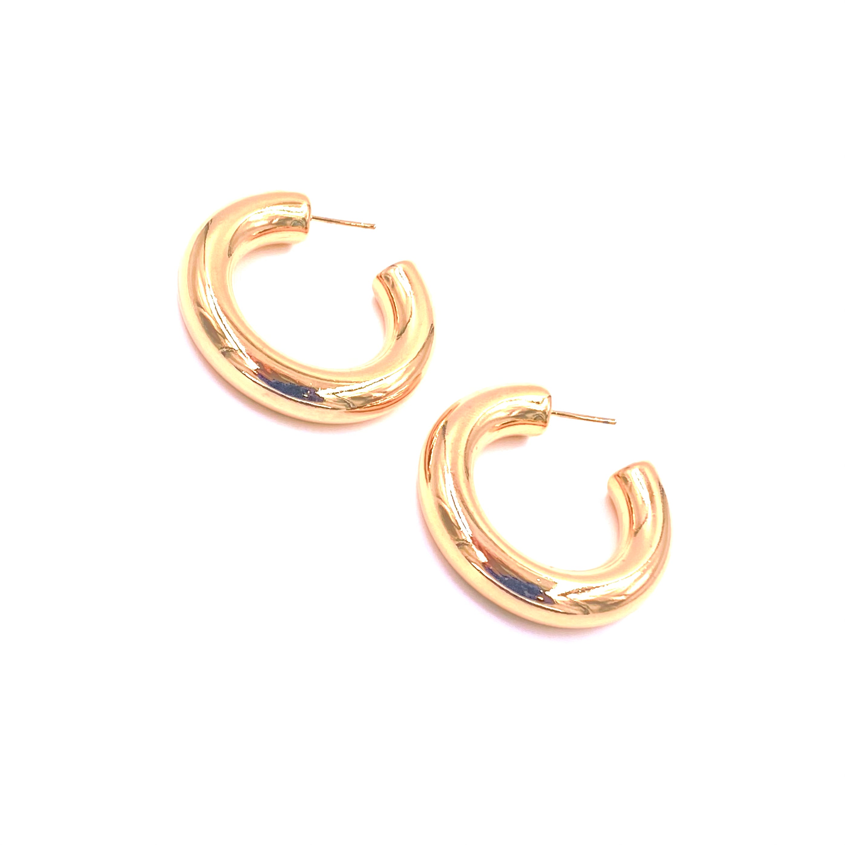 Ashley Gold Stainless Steel Hoop Earrings for Women - 1