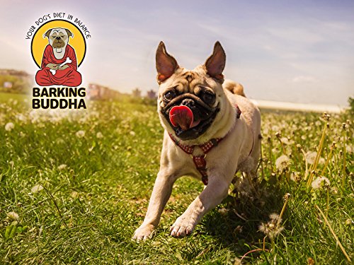 Premium All-Natural Beef Cheek Rolls for Dogs - Thick Rawhide-Free Chew Sticks with Peanut Butter Flavor | Large 10-12 Inch (5 Pack) | Long-Lasting Dental Treat for Aggressive Chewers & Puppy Teething Relief