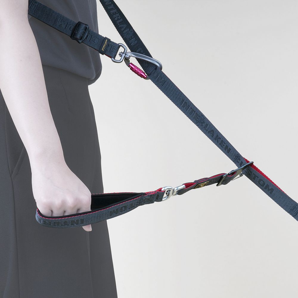 Earthtec I Leash - Durable Reflective Dog Leash for Small, Medium & Large Dogs - Perfect for Walking, Running & Nighttime Safety