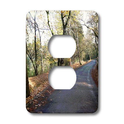 3D Rose Country Road 2-Pack Decorative Outlet Covers - Rustic Wall Plate for Home Decor, Bedroom, Living Room & Office
