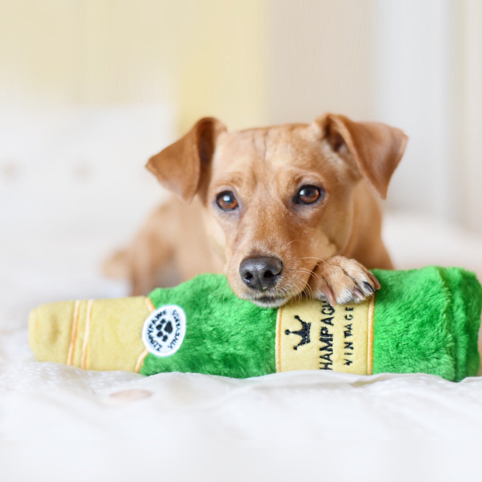 Happy Hour Crusherz Champagne Plush Dog Toy by ZippyPaws - Fun Squeaky Interactive Playtime Gift for Pets, Perfect for Parties & Celebrations