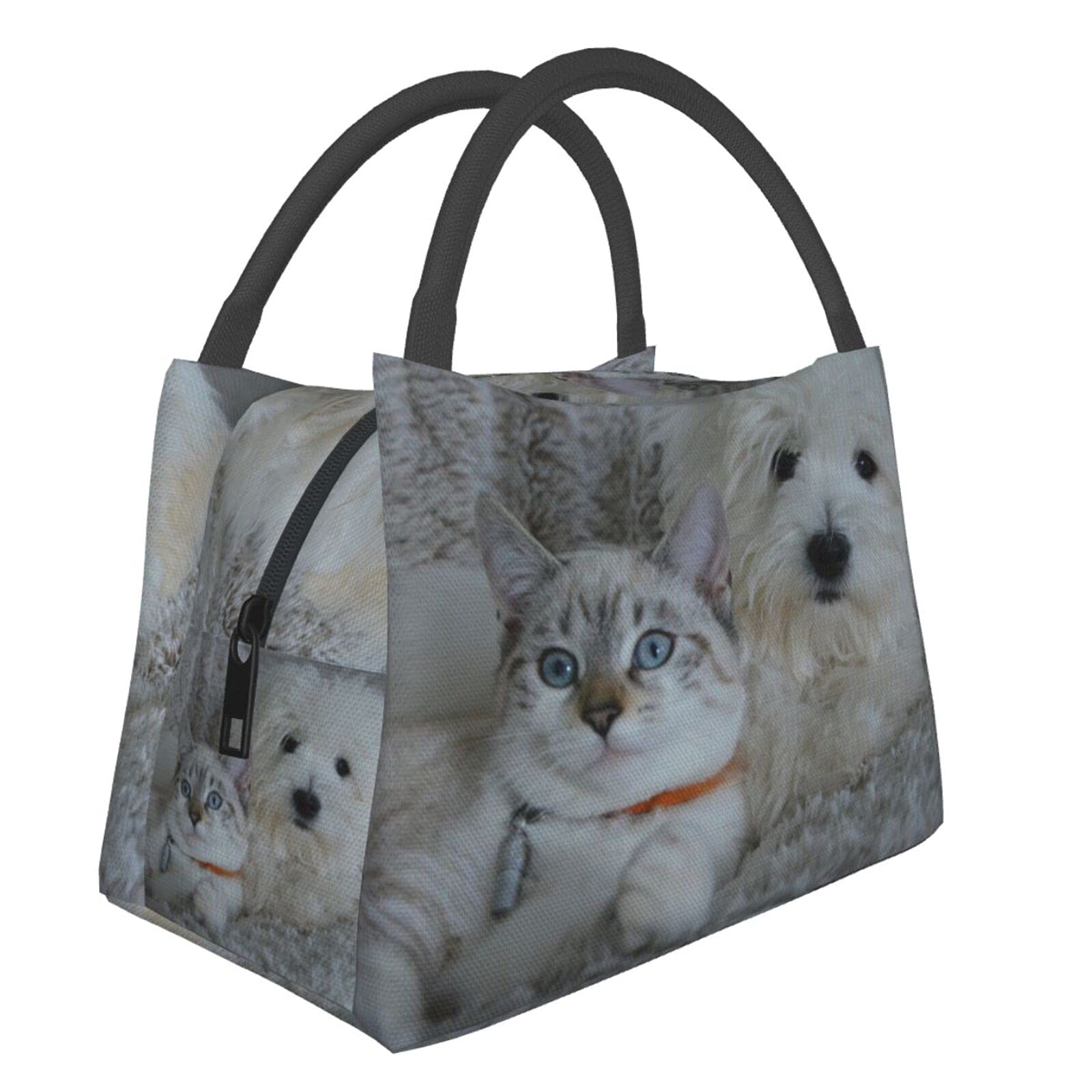 Insulated Pet Lunch Bag for Dogs & Cats - Portable Picnic, Shopping & Kitchen Storage - Perfect for Travel, Outings & Family Use