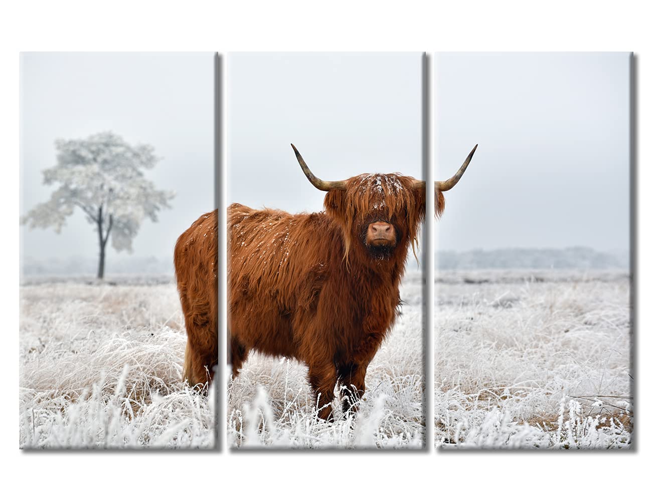 Scottish Highland Cattle Winter Landscape Canvas Wall Art - 3 Panel Framed Highland Cow Painting for Living Room Decor, 60x40 Inches, Ready to Hang - Perfect for Farmhouse, Rustic & Country Style Home Interiors
