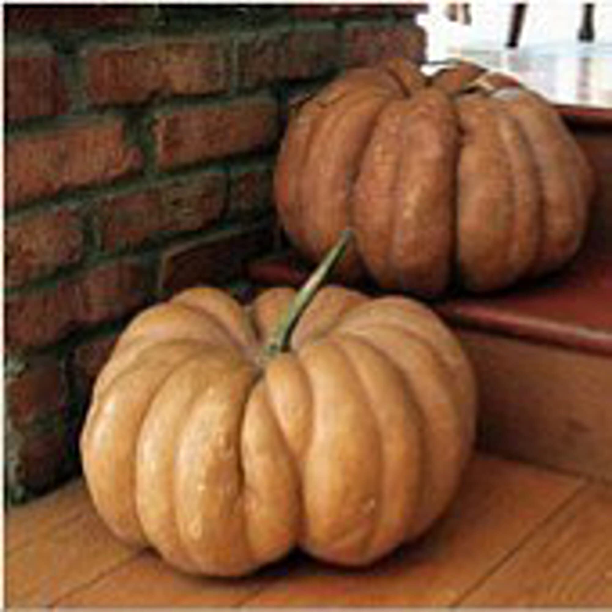 Organic Fairytale Pumpkin Seeds (20+ Seeds) - Non-GMO Heirloom Vegetable Seeds for Planting | Home Garden, Greenhouse, Backyard Farming | Perfect for Fall Decorations, Pumpkin Pie, and Seasonal Recipes