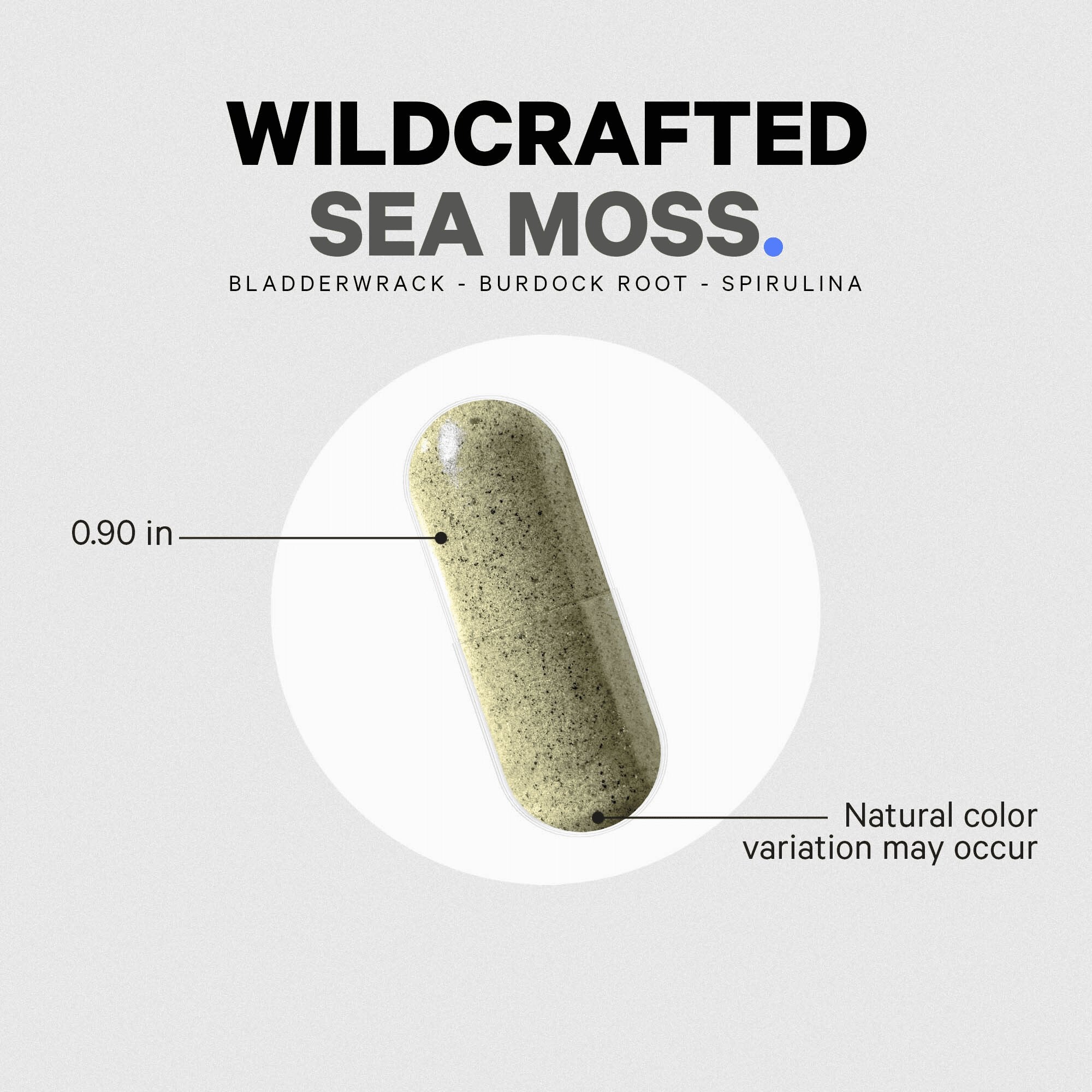 Codeage Wildcrafted Sea Moss Supplement - Organic Irish Moss Capsules for Immune Support, Digestion & Skin Health - Vegan, Non-GMO, Gluten-Free - Perfect for Smoothies, Teas & Wellness Routines