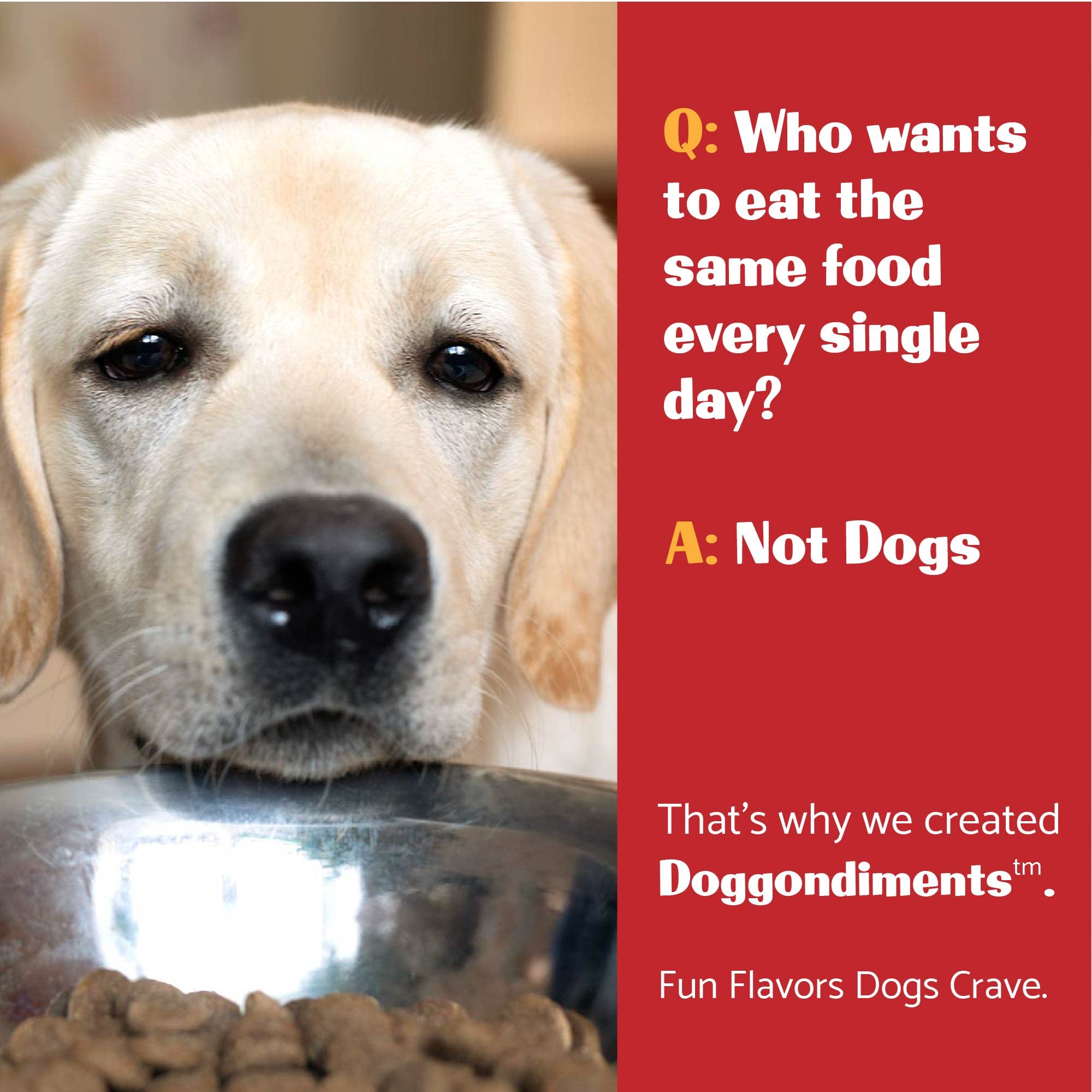 Southern Fried Chicken Flavor Dog Food Topper Powder - Natural Meal Enhancer for Small & Large Breed Dogs - Perfect for Picky Eaters & Kibble Topping