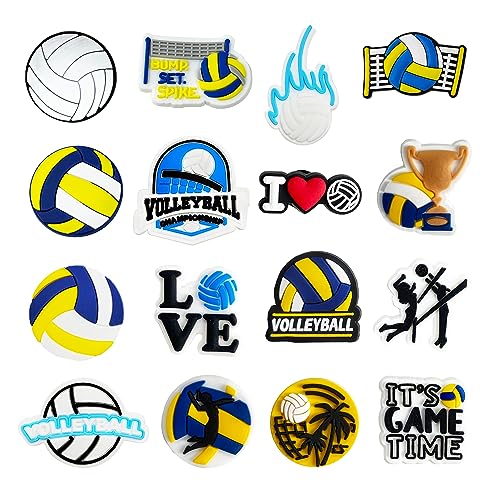 Volleyball 16