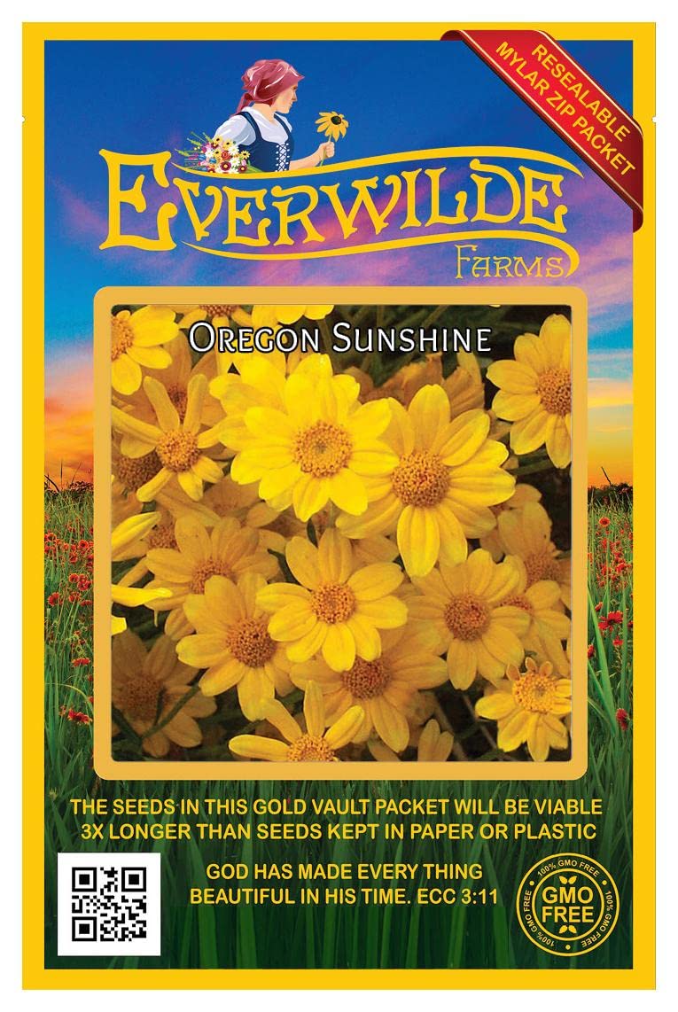 Everwilde Farms - 1750 Oregon Sunshine Native Wildflower Seeds - Gold Vault Jumbo Seed Packet for Pollinator Gardens, Landscaping & DIY Bouquets