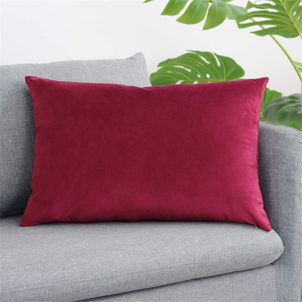 2 Pack Velvet Throw Pillow Covers 20x30 Inch - Soft Decorative Cushion Covers for Sofa, Couch, Living Room & Bedroom - Perfect for Home Decor, Cozy Reading Nook & Accent Pillows