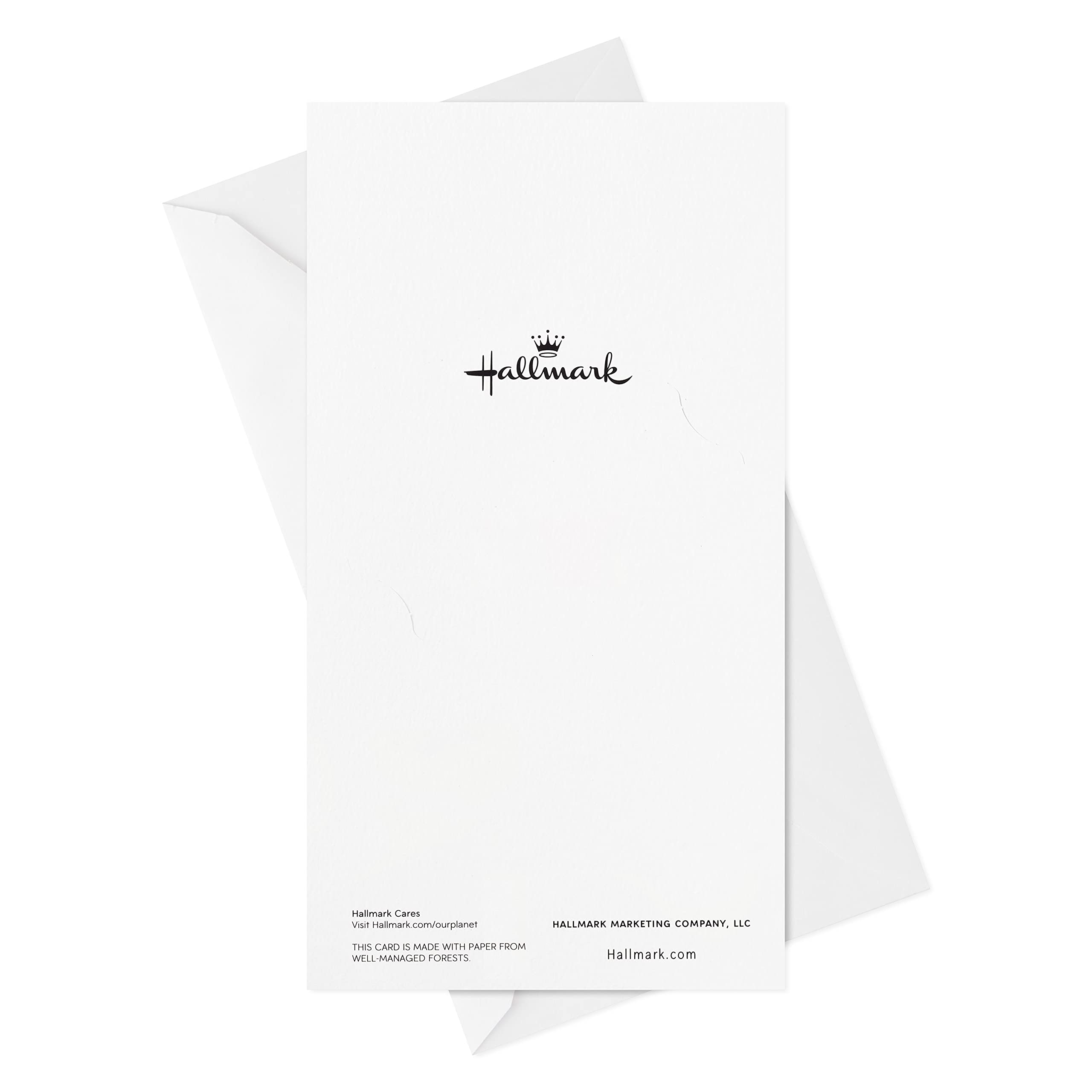 Hallmark Christmas Money & Gift Card Holders - Set of 10 Red Door Design Cards with Envelopes - Perfect for Holiday Gifting, Stocking Stuffers & Secret Santa Exchanges