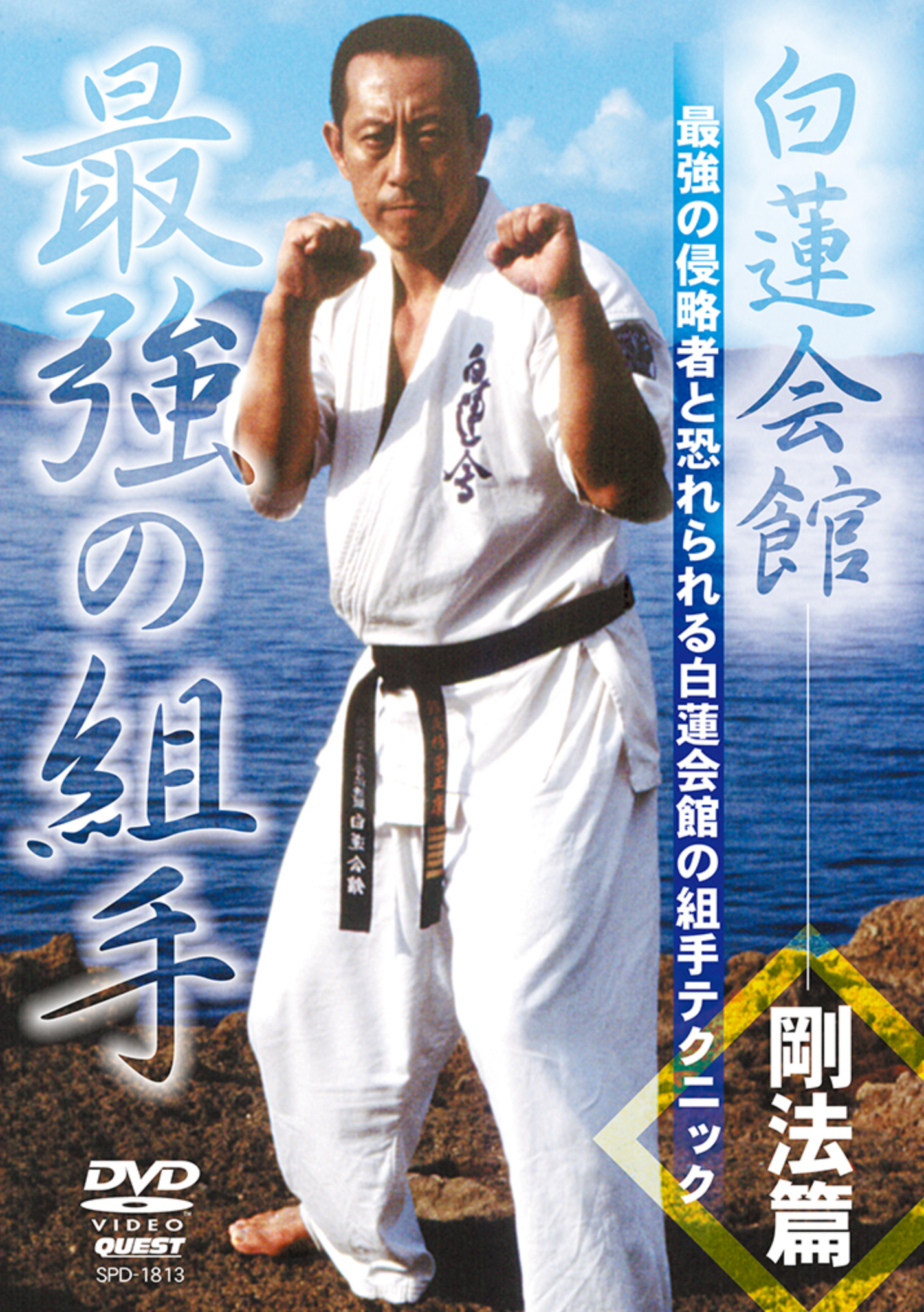 Byakuren Kaikan Best of Kumite DVD - Authentic Japanese Karate Training & Techniques | Perfect for Martial Arts Enthusiasts & Self-Defense Practice