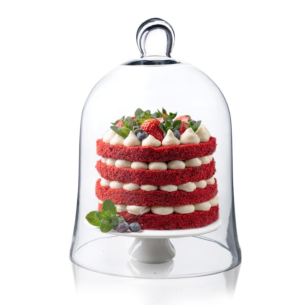 Glass Cloche Dome Terrarium Bell Jar - 12