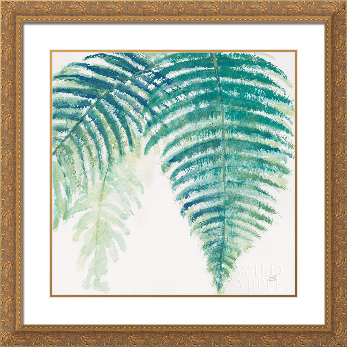 15x15 Gold Ornate Framed Double Matted Museum Art Print - Ferns III Square Cool by Chris Paschke | Elegant Wall Decor for Living Room, Bedroom & Office