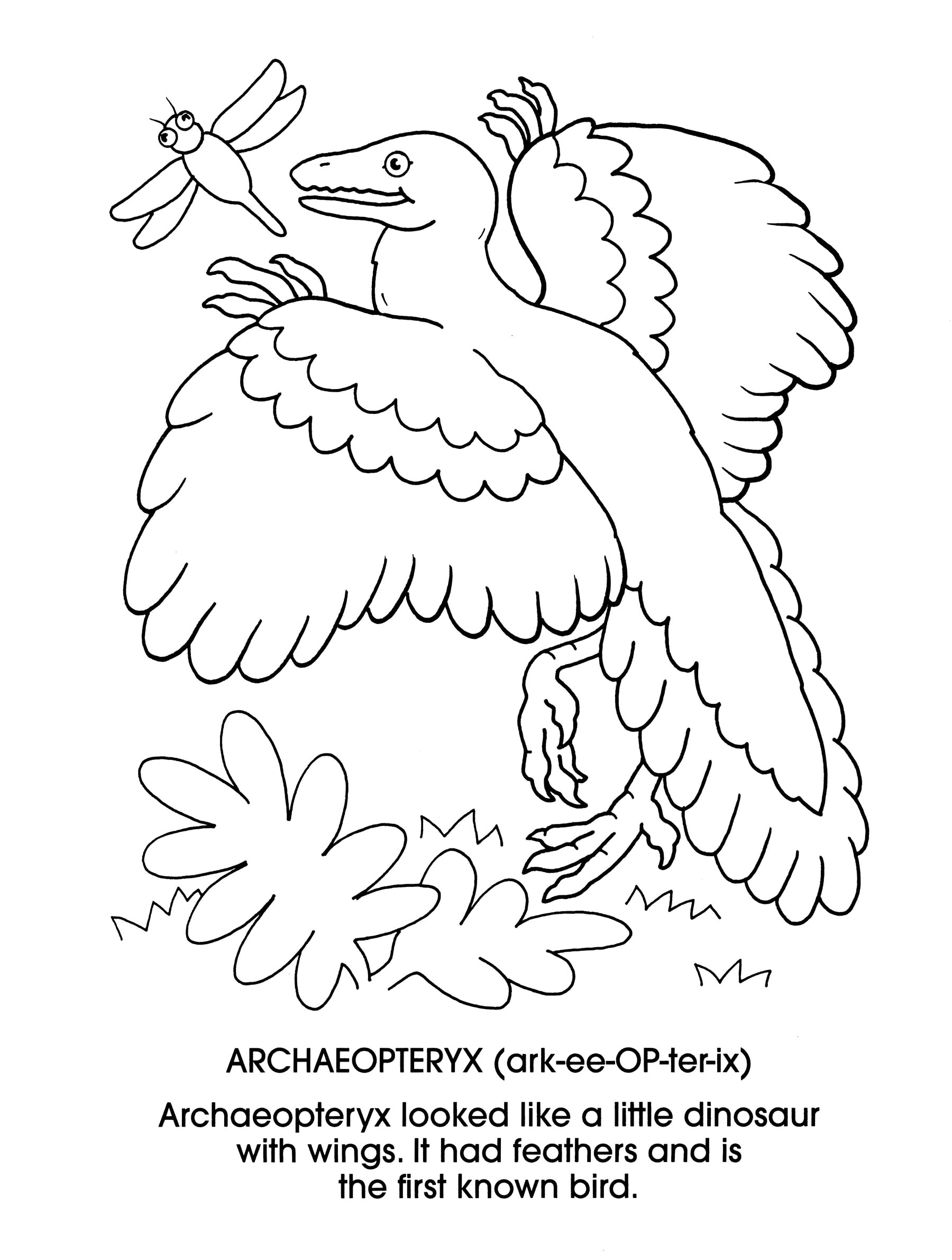 Dinosaurs Coloring Book for Kids & Adults - Dover Creative Relaxation & Stress Relief - Perfect for Home, School & Travel Activities