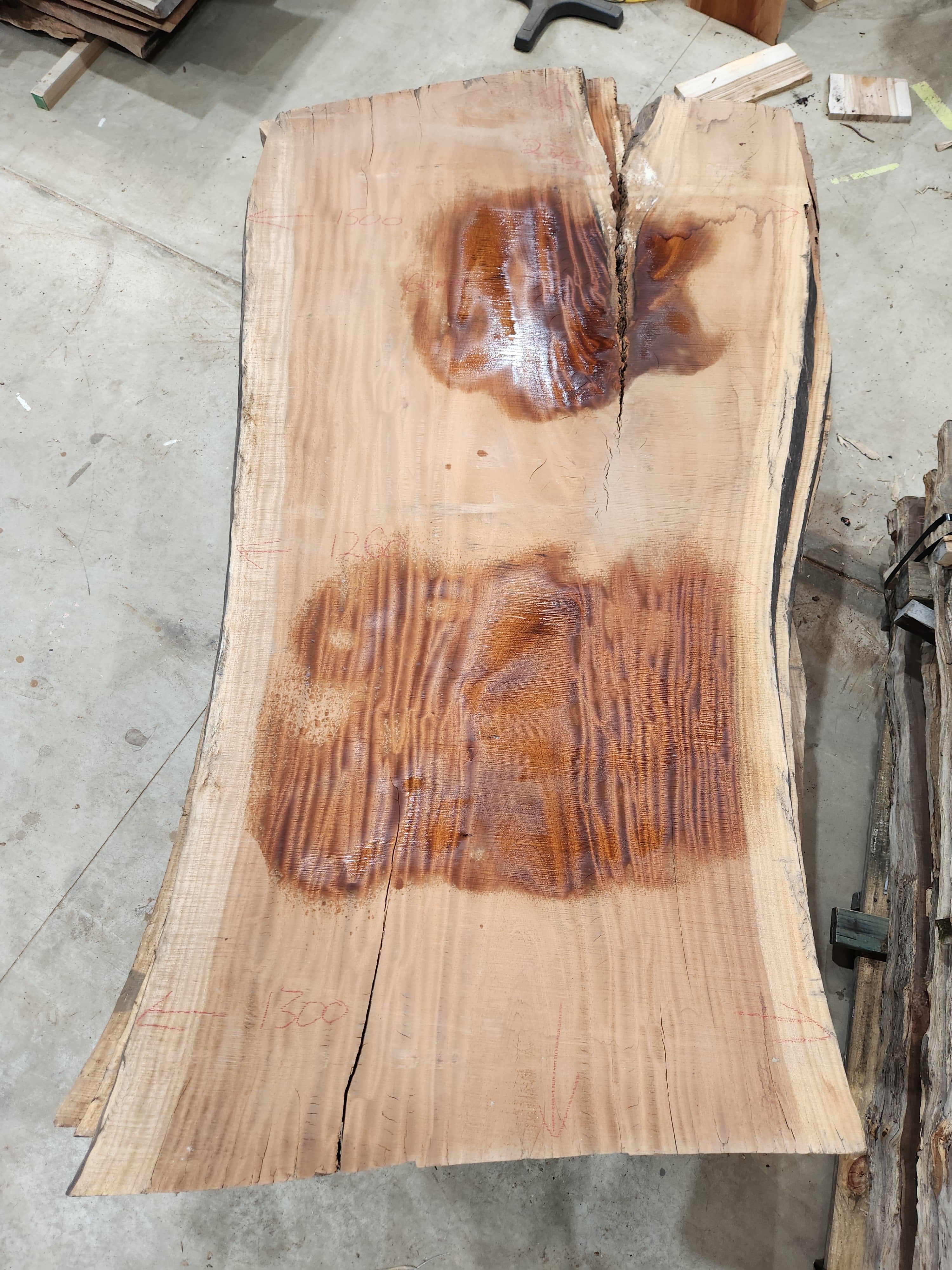 Premium African Mahogany Wood Slab - 203
