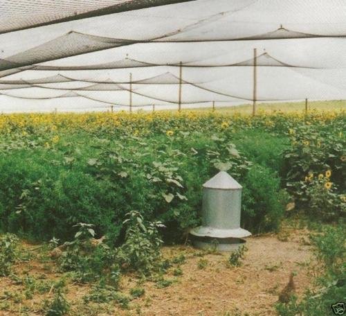 Heavy Duty Poultry Netting 12.5ft x 150ft - 2