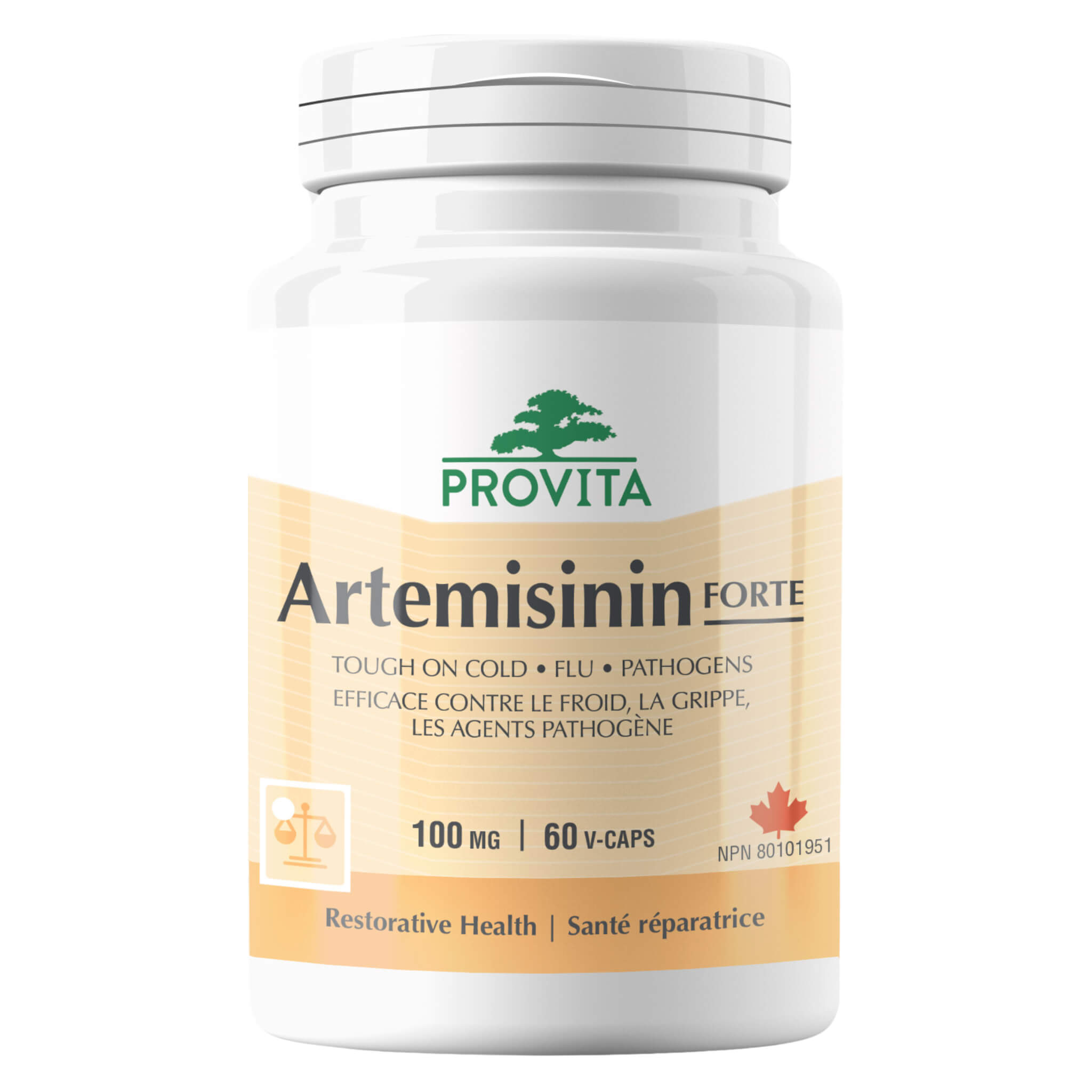 Artemisinin Forte Supplement - High Potency 100mg Capsules for Immune Support & Wellness | Natural Herbal Extract for Health & Vitality | Perfect for Daily Wellness Routine & Immune Boosting