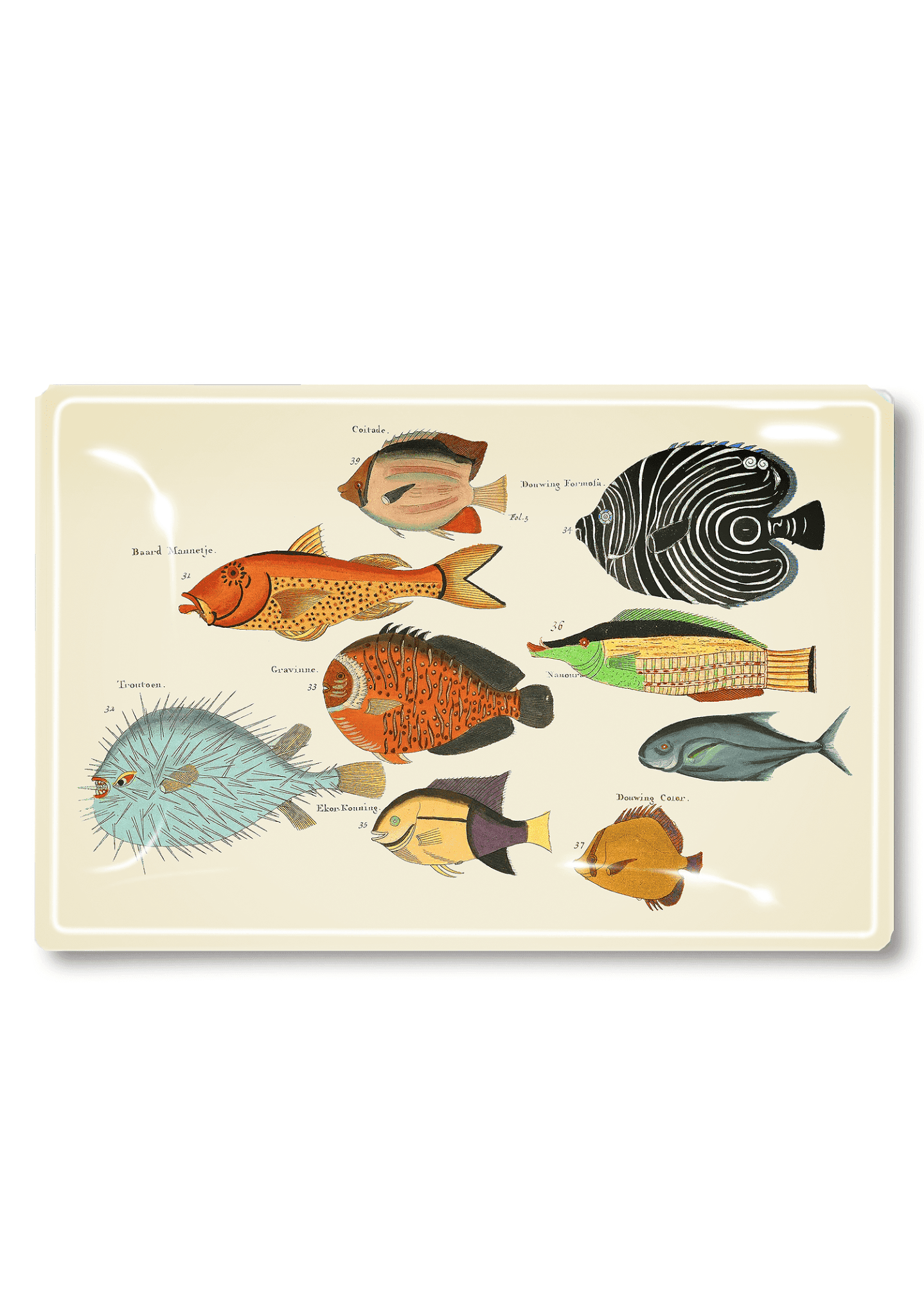 9 School of Fish Decoupage Glass Tray - Elegant Serving Tray for Home Decor, Parties & Gift Giving | Perfect for Coffee Tables, Dining Rooms & Wedding Receptions