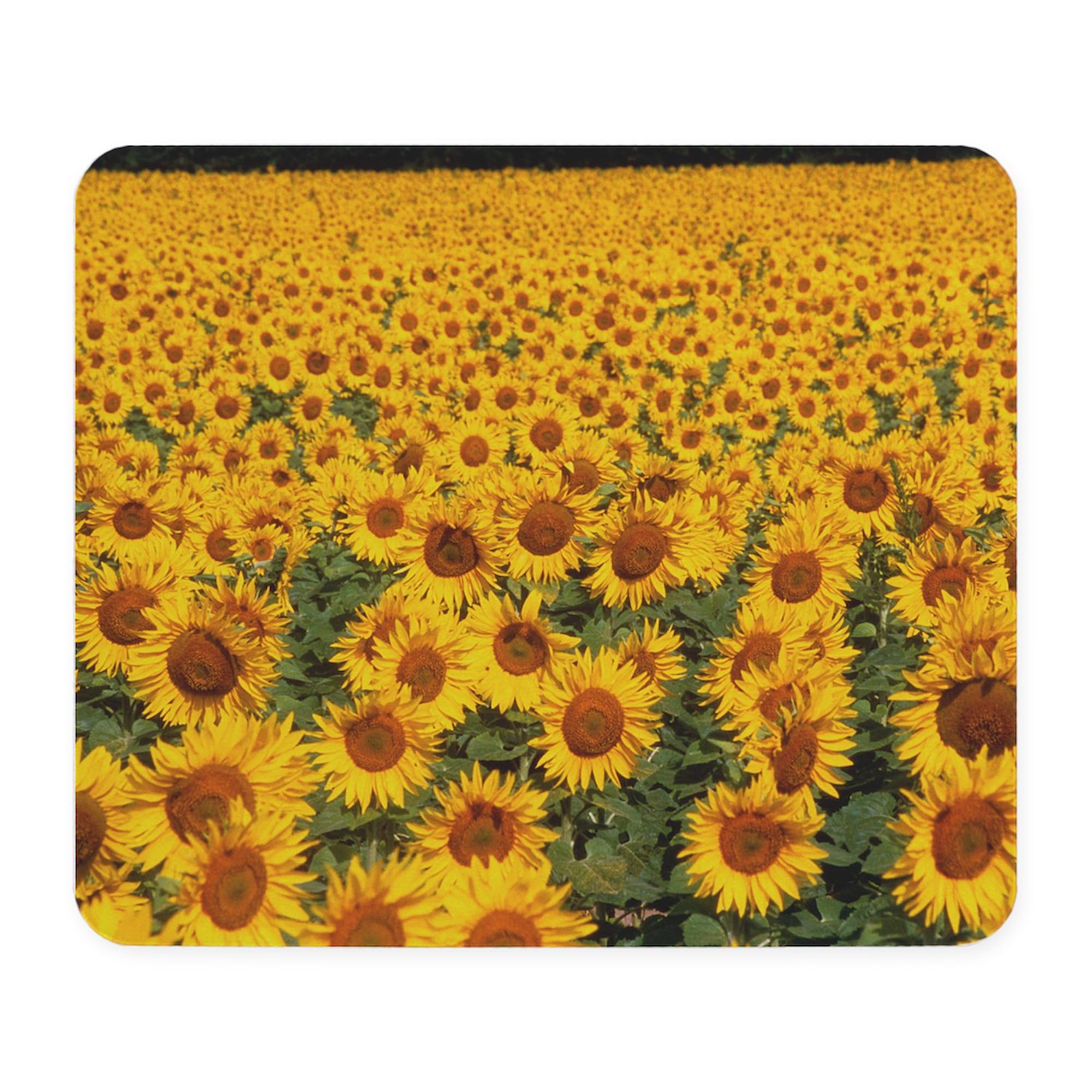 Field of Sunflowers France Non-Slip Rubber Gaming Mouse Pad | Computer Desk Mat for Office & Home Use | Perfect for Work, Gaming & Decor