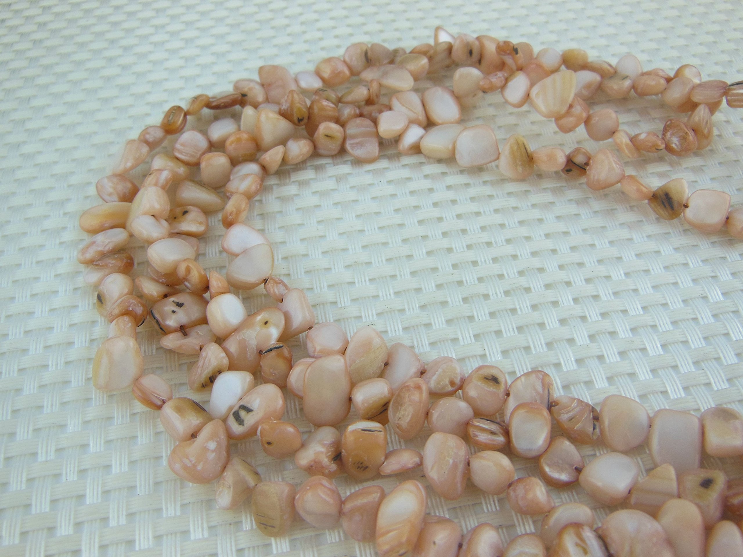 Natural Sea Shells Hammer Shell Loose Beads - 1 Strand per Bag (SH-1016) for DIY Jewelry Making, Necklaces, Bracelets & Craft Projects - Perfect for Beach Theme Jewelry and Boho Accessories