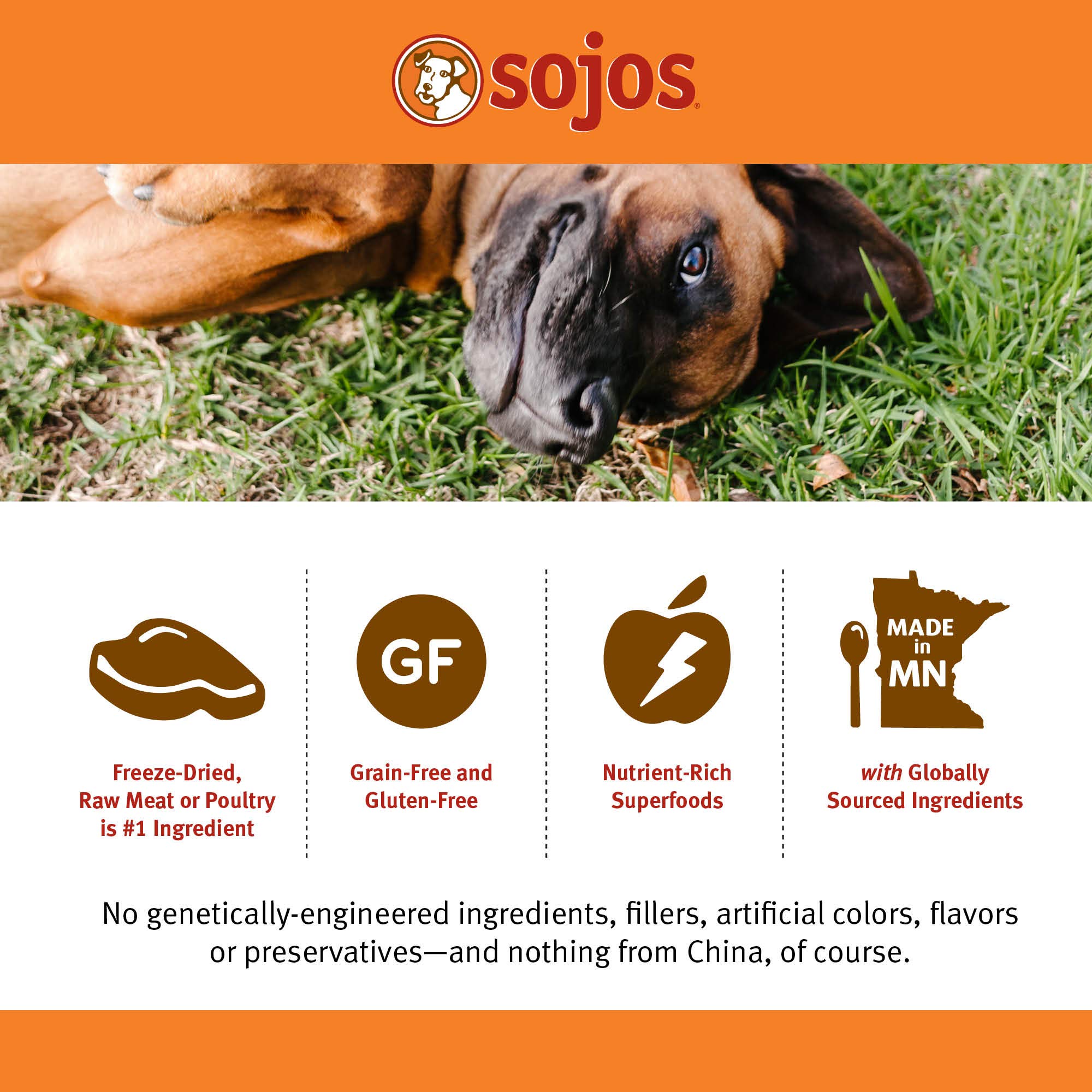 Sojos Complete Lamb Recipe Dehydrated Dog Food - Grain Free, Natural & Healthy 7 lb Bag for Small & Large Dogs - Perfect for Travel, Hiking & Outdoor Adventures