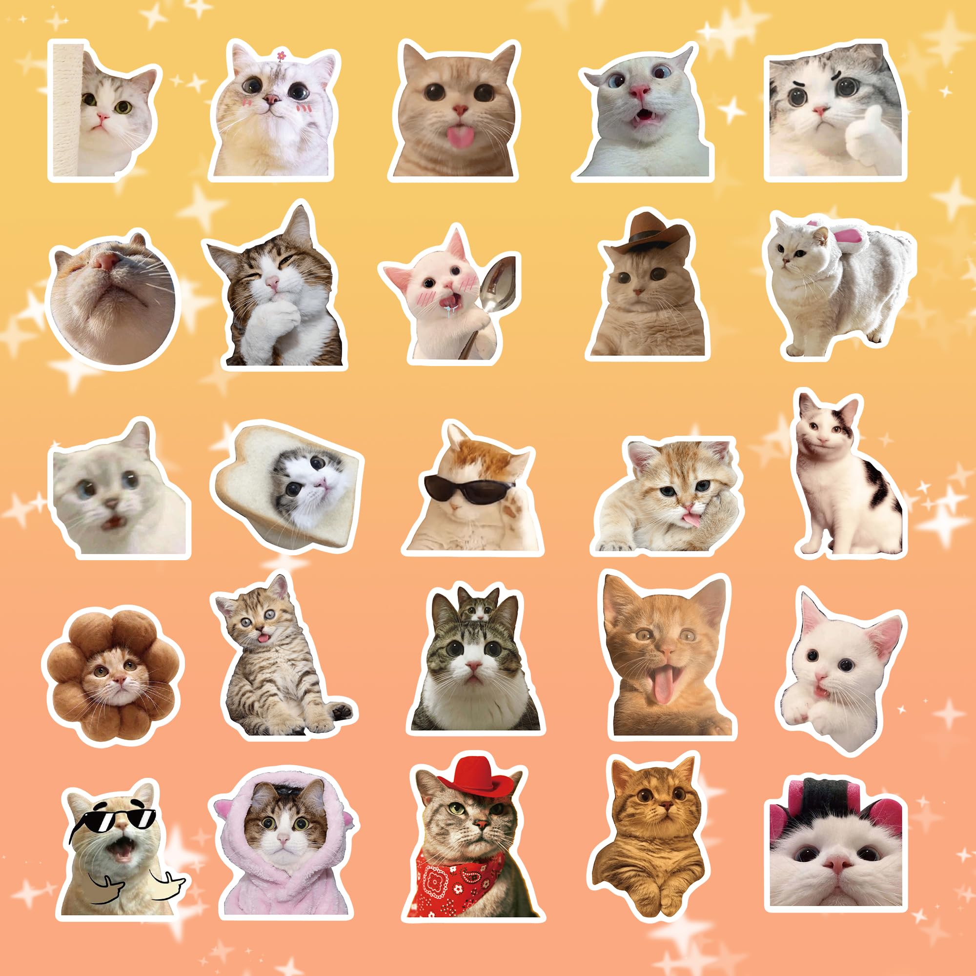 100 Pcs Funny Cat Meme Stickers - Cute Vinyl Waterproof Stickers for Adults & Teens - Perfect for Laptops, Water Bottles, Notebooks & DIY Crafts