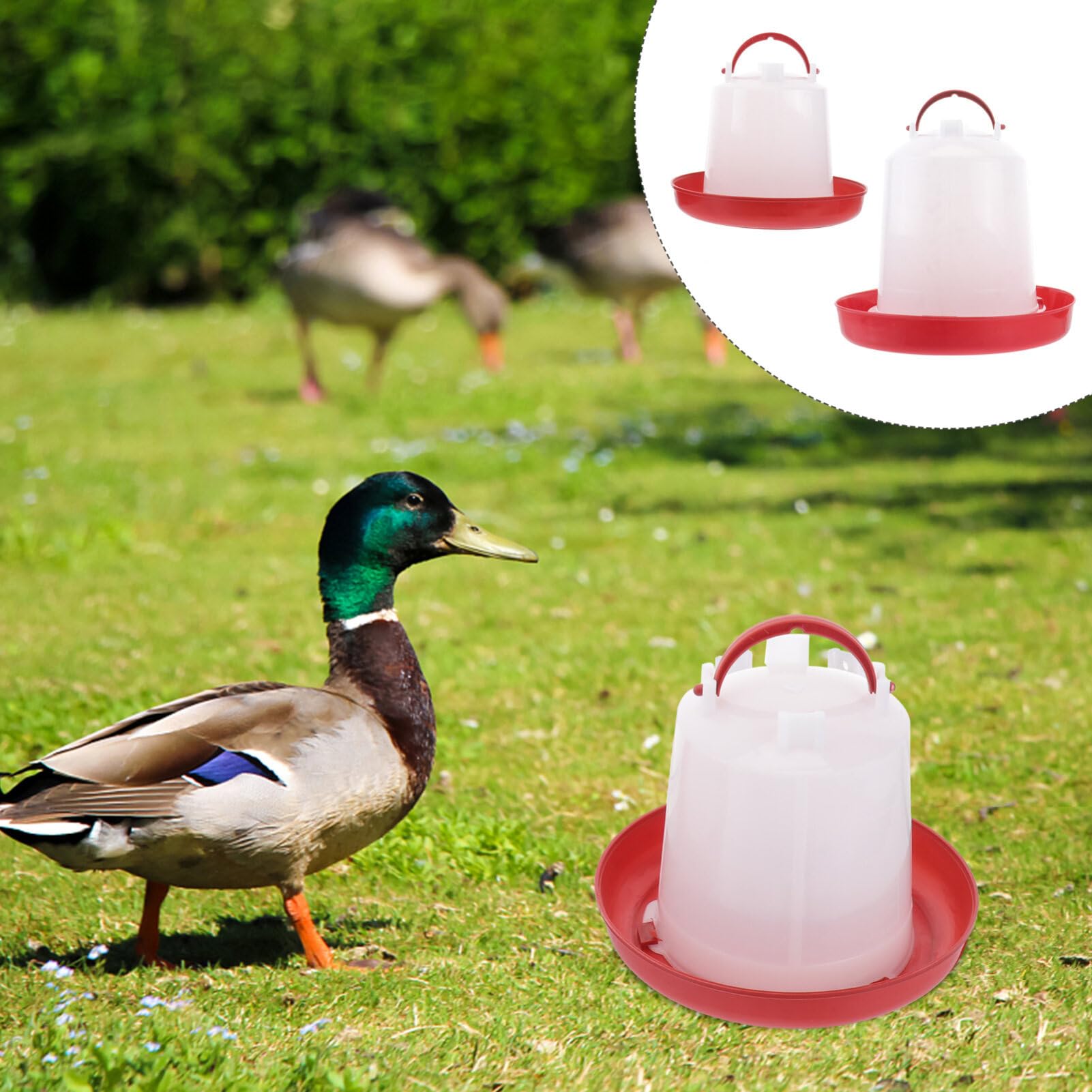 2Pcs Plastic Poultry Water Feeder for Chickens, Geese & Ducks - Automatic Drinking Bottle Container for Outdoor Pet & Farm Use - Perfect for Coops, Backyards & Livestock Care