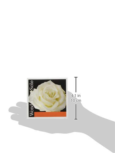 PIRASTRO Wondertone Solo 4102 Violin Strings A-Wire 4/4 Size Synthetic Core with Aluminum Wound - Perfect for Professional Violinists & Orchestral Performances